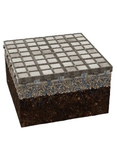 Purple PAV® 100 2