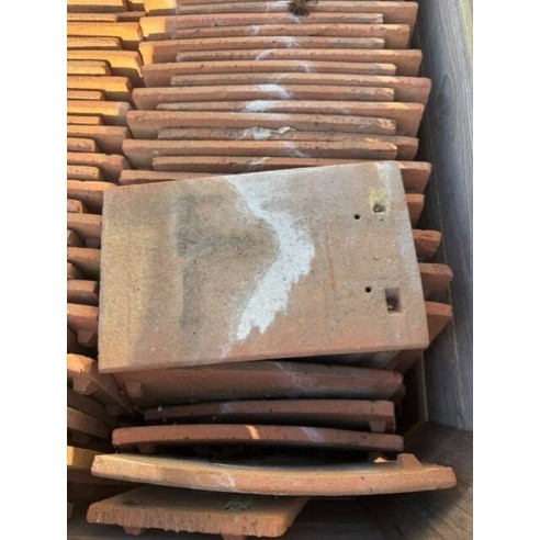 Tuiles en terre cuite 16.5 x 27 cm