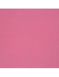 Ernani - Fuchsia