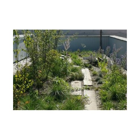 SUBSTRAT FERTILE VITEX 1100