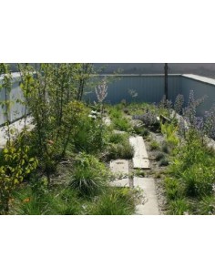 SUBSTRAT FERTILE VITEX 1400