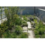 SUBSTRAT FERTILE VITEX 1400