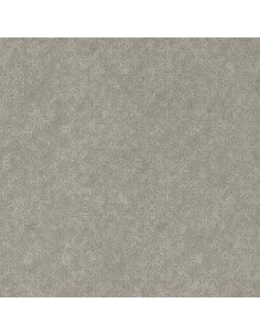 Serego - Pewter