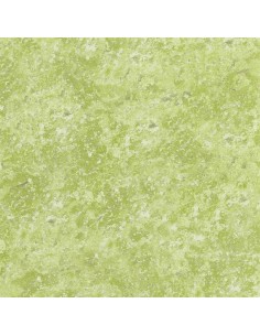 Botticino - Moss