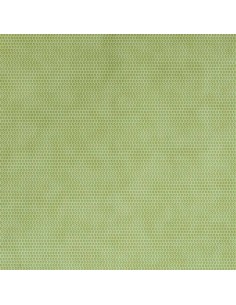 Iribe - Pistachio