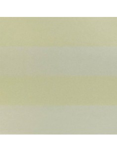 Tsuga Stripe - Gold