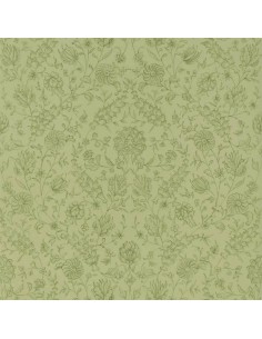 Flora - Fern
