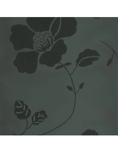 Cloisonne - Noir