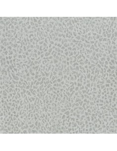Ciottoli - Platinum