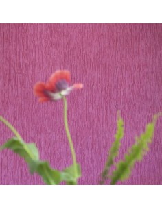Sashiko Fuchsia 2