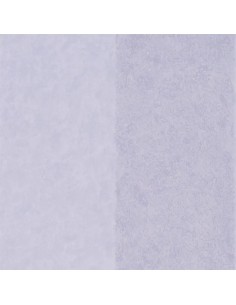 Kalpana - Lilac