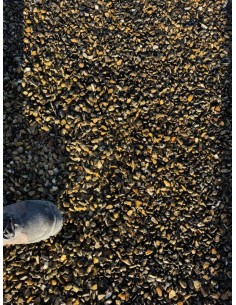 Gravillons de toiture terrasse