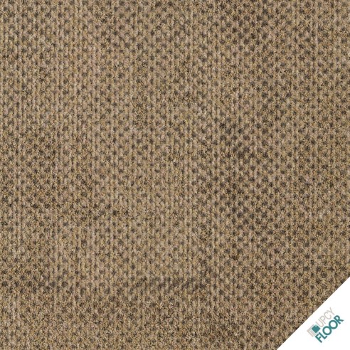 Ege - Reform Transition Seed Camel