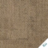 Ege - Reform Transition Seed Camel