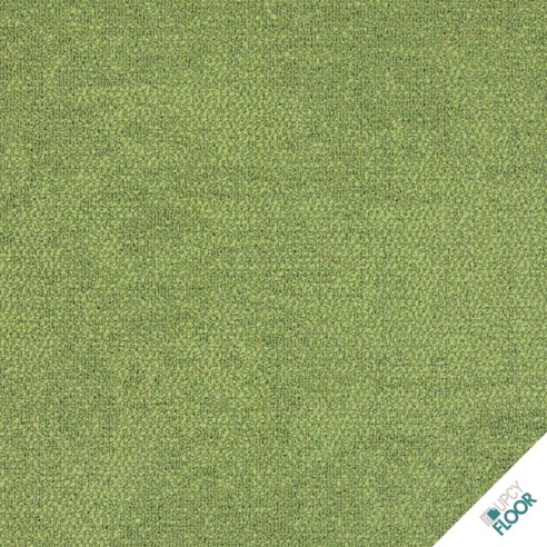 INTERFACE - Composure Fern