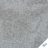 INTERFACE - Recreation Foundation