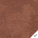 INTERFACE - Recreation Graphic