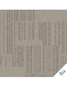 INTERFACE - Equilibrium Equation